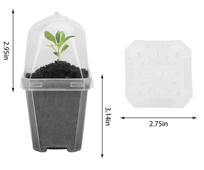 3” Clear Plant Nursery Pot with Humidity Dome