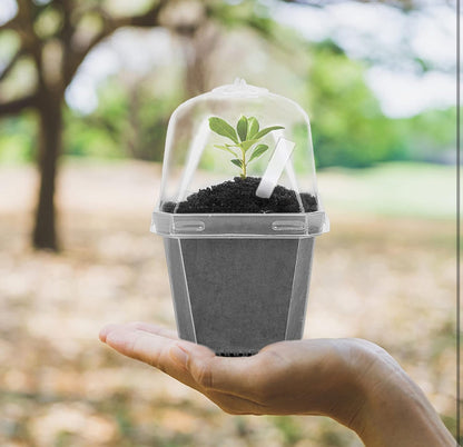 3” Clear Plant Nursery Pot with Humidity Dome