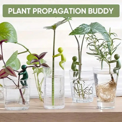 Propagation Buddy for Plant Cuttings (2 pack)