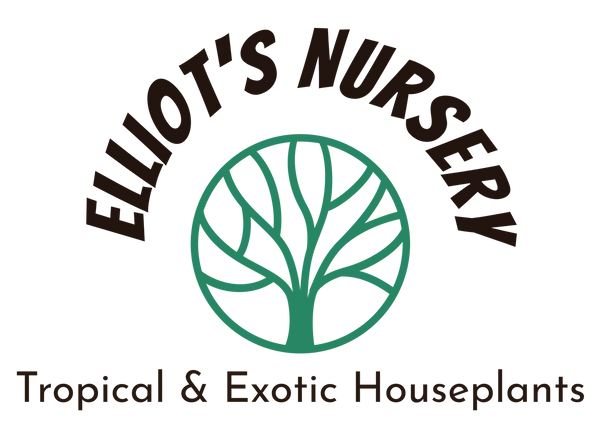 Elliot’s Nursery